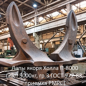 Лапы якоря Холла П-8000.jpg